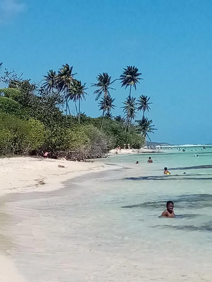 Logisrev Apartment Sainte-Anne  Guadeloupe