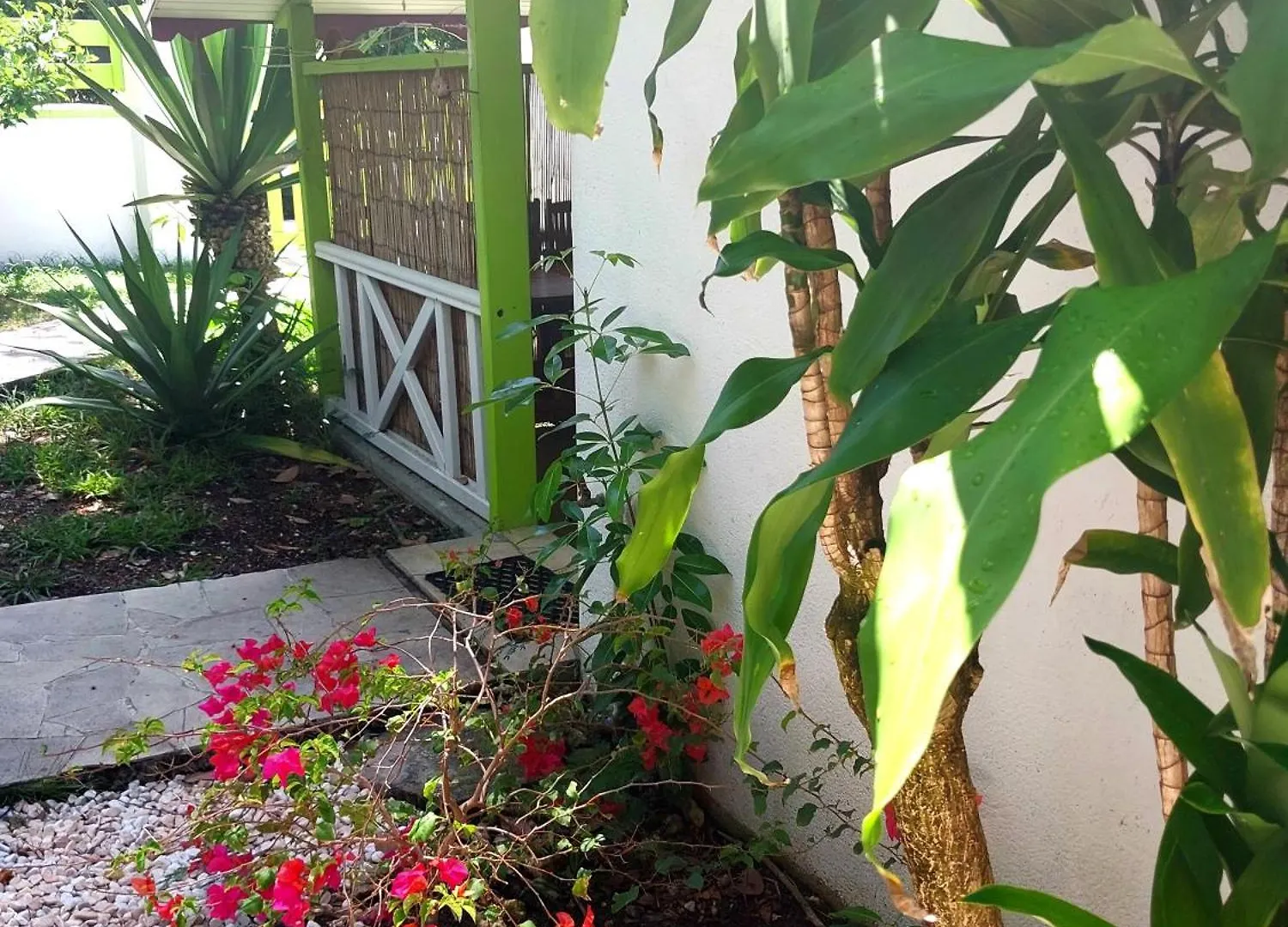 Appartement Logisrev à Sainte-Anne  Guadeloupe
